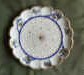 thorn plate No44.jpg (16895 bytes)